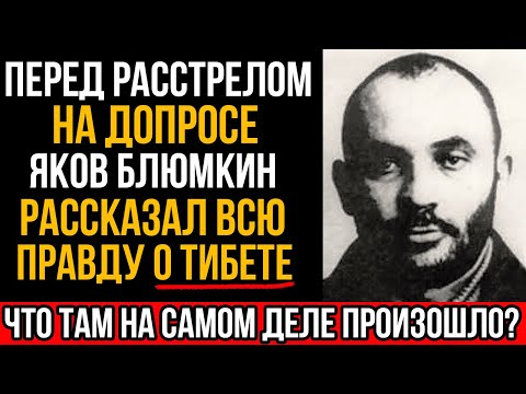 Видео: Перед Расстрелом Блюмкин Рассказал Всё, Что Увидел В Тибете...
