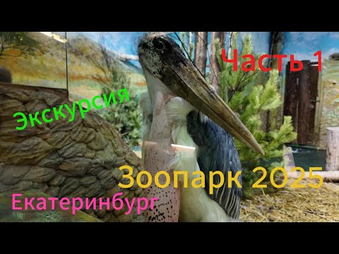 Видео: Екатеринбург. Зоопарк 2025. Экскурсия! 1 часть.