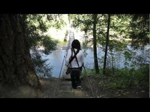 Видео: Оленьи ручьи. Природный заповедник.