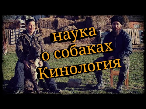 Видео: Казачка Лариса Геннадьевна Бардадым беседа о кинологии КФХ БАРДАДЫМ Школа Корогод фланкировка шашка