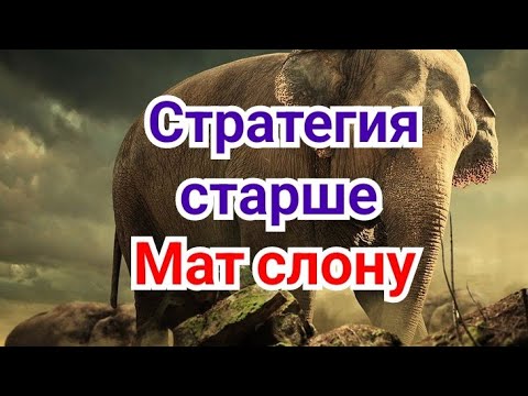 Видео: 25) Стратегия старше  !     Мат  слону !