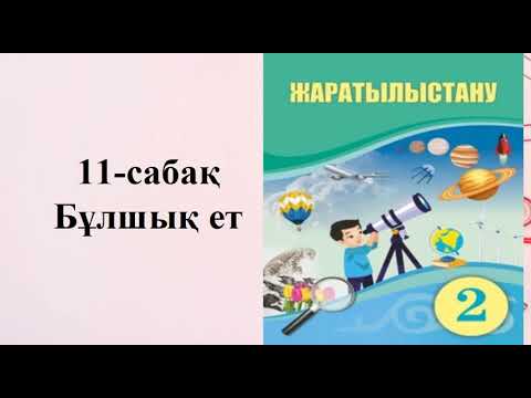 Видео: 2-сынып жаратылыстану  11-сабақ Бұлшық ет