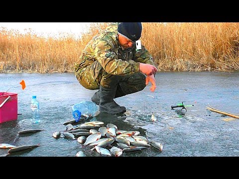 Видео: ОПАСНЫЙ ЛЁД И БЕШЕНЫЙ КЛЁВ. Зимняя рыбалка на мотоцикле. Жерлицы. Чудесный тихий денек.