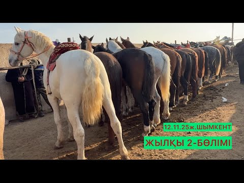 Видео: Жылқы 2-бөлімі 12.11.25ж.