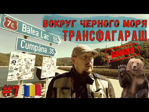 Видео: МОТОПУТЕШЕСТВИЕ Вокруг черного моря #7 Трансфагараш, Медведи