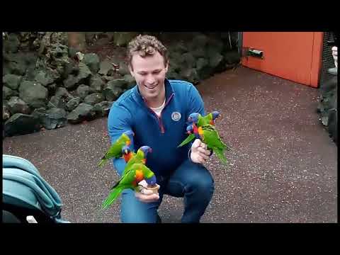 Видео: 10 октября 2025 г.