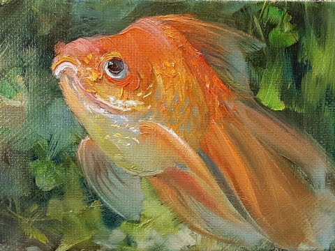 Видео: Золотая рыбка. Drawing a Goldfish. Мастер-классы Вугара Мамедова.