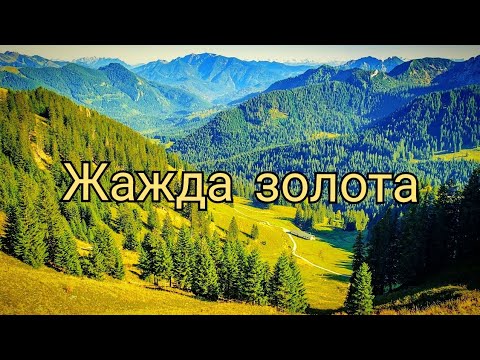 Видео: Жажда золота