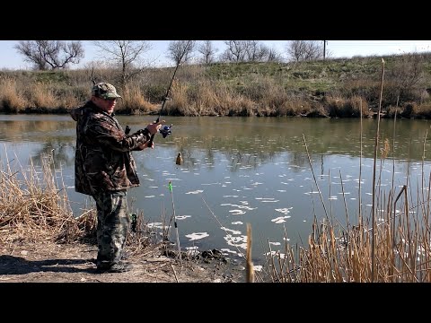 Видео: Рыбалка. Крупный карась на донку с кормушкой