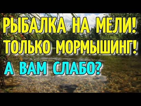 Видео: РЫБАЛКА НА МЕЛИ!!! СПАСЕТ ТОЛЬКО МОРМЫШИНГ! КАК ЛОВИТЬ МОРМЫШИНГОМ НА МЕЛИ?