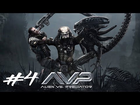 Видео: Будни Новобранца  ► Aliens vs Predator Прохождение Часть 4