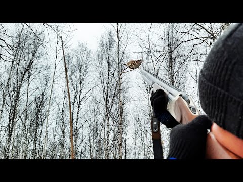 Видео: ОХОТА НА РЯБЧИКА ПОЗДНЕЙ ОСЕНЬЮ С МАНКОМ.