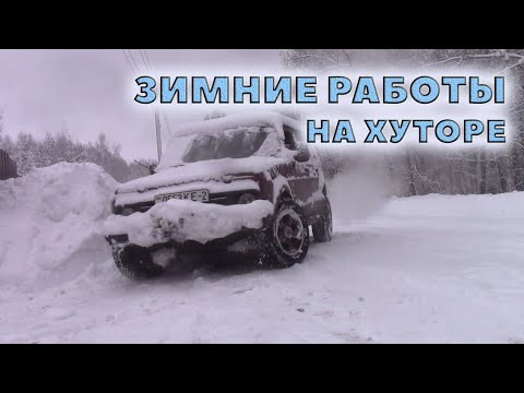 Видео: Зимние будни в лесу