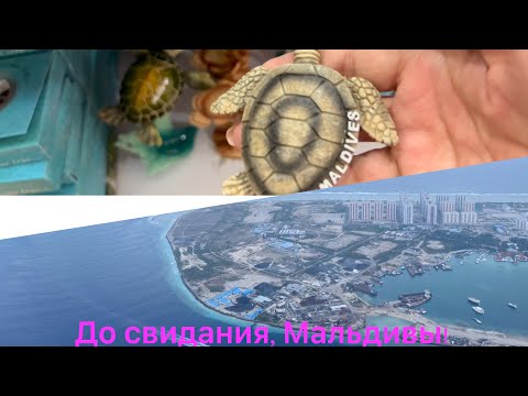 Видео: Улетаем!/ Дьюти Фри Maldives, рай для шоппинга!/