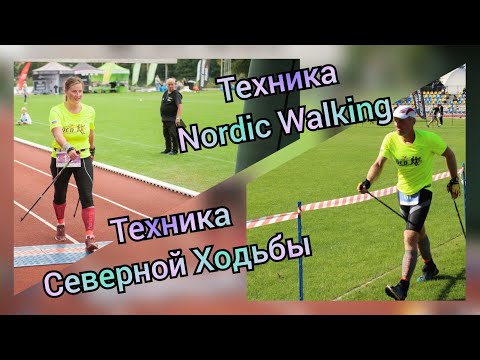 Видео: Техника Северной (скандинавской) Ходьбы