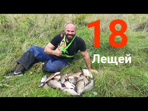 Видео: СУМАСШЕДШАЯ раздача ЛЕЩА на реке Днепр! Такого клева я еще не видел!