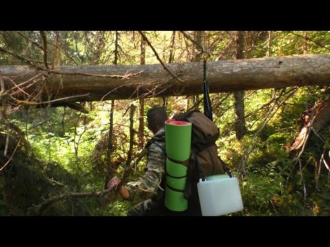 Видео: НОЧЬ ПОД ОТКРЫТЫМ НЕБОМ. РЫБАЛКА НА ХАРИУСА.