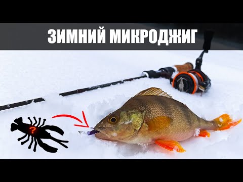 Видео: Окунь зимой на микроджиг