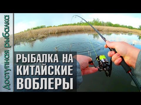 Видео: РЫБАЛКА НА КИТАЙСКИЕ ВОБЛЕРЫ с АлиЭкспресс | Тест KastKing Royale Legend и SeaKnight Treant II