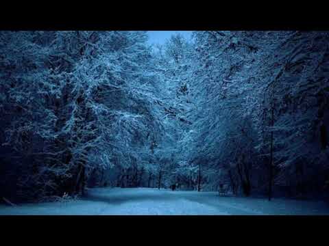 Видео: Дилижанс-новогодняя (slowed+reverb)