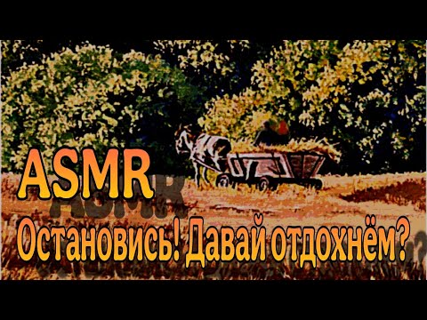 Видео: АСМР ТВОЯ СПУТНИЦА УЛАМЫВАЕТ ТЕБЯ НА ОТДЫХ 🥱🌙💤 АСМР массаж головы, неразборчивый шёпот ( вроде RP? )