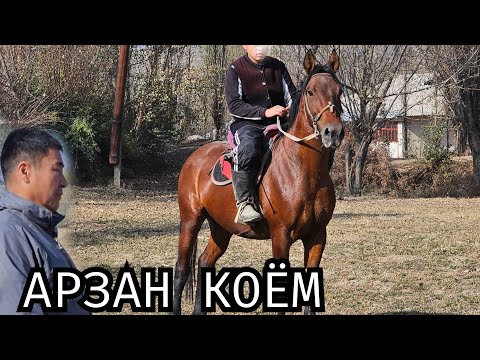Видео: БААСЫ ЖӨНДҮҮ ТОРУ АСЫЛ АКЕДЕ