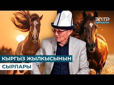 Видео: КЫРГЫЗ ЖЫЛКЫСЫНЫН СЫРЛАРЫ // МУРАС САБАТЫ