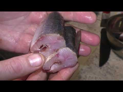 Видео: Домашние консервы из ряпушки