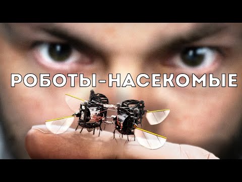 Видео: Зачем нам роботы-насекомые? (Veritasium)