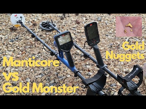 Видео: Minelab Gold Monster 2000 против Manticore на зарытых золотых самородках