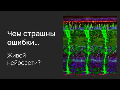 Видео: Как наши глаза видят на самом деле?