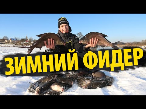 Видео: Ловля КРУПНОГО леща на фидер зимой на реке