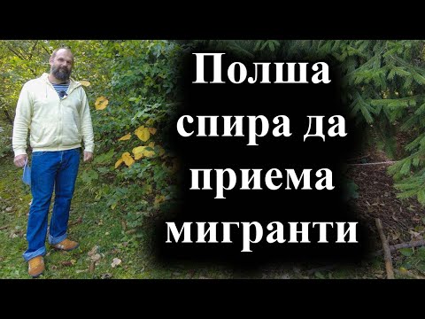 Видео: Полското правителство няма да дава убежище на бежанци – 13.10.2024 г.