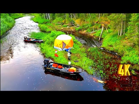 Видео: РЫБА ВСТРЕТИЛА НАС ВСЯ, ПОДНИМАЛИСЬ МЫ НЕ ЗРЯ | THE FISH MET US ALL, WE DID NOT RISE IN VAIN