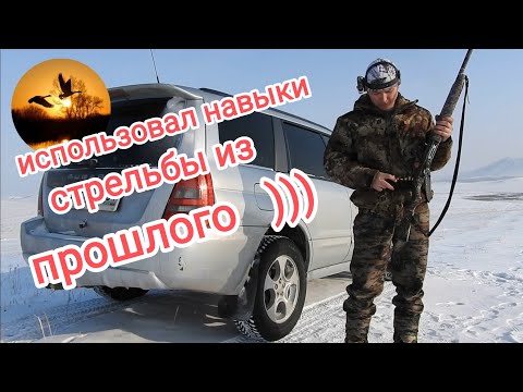 Видео: ОХОТА НА ЗАЙЦА!!! СБОЙ В СИСТЕМЕ НАВЕДЕНИЯ)))