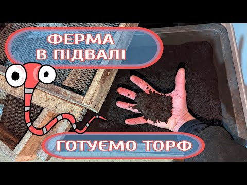 Видео: РОЗВОДИМО ЧЕРВ'ЯЧКІВ У ПІДВАЛІ: готуємо торф для переселення!