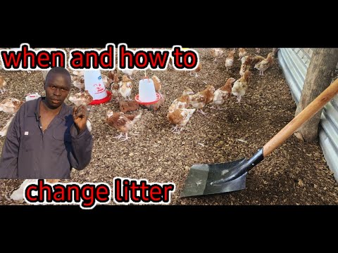 Видео: КАК ДОЛГО НУЖНО МЕНЯТЬ НАПОЛНИТЕЛЬ??????