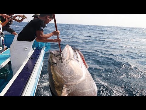 Видео: Удивительный навык ловли гигантского синего тунца - ловля и переработка сотен тонн тунца