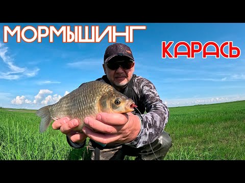 Видео: КАРАСЁВЫЙ МОРМЫШИНГ! 