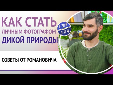 Видео: Как стать личным фотографом дикой природы. Советы от Романовича