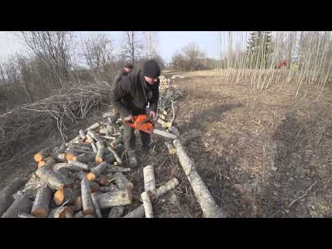 Видео: Заготовка дров И увеличиваем загон для Овец! #мтз   #фронтальныйпогрузчик #хуторок