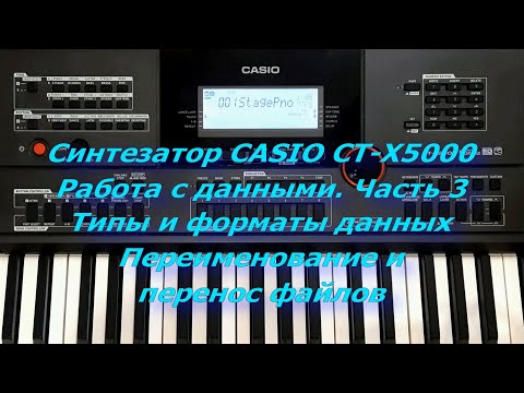 Видео: Синтезатор CASIO CT-X5000. Работа с данными. Часть 3. Типы и форматы данных. Перенос файлов.