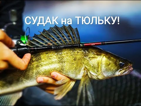 Видео: СУДАК на ТЮЛЬКУ! НА ФАРВАТЕРЕ на НЕВЕ! КОРАБЛЬ почти РАЗДАВИЛ!