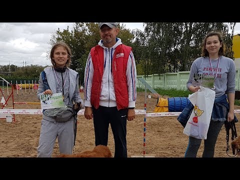 Видео: Соревнования в Нижнем Новгороде, Берри, Аппа и Марси