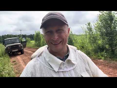 Видео: Как растут наши медоносы
