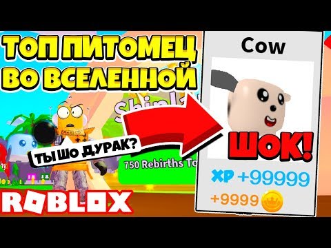 Видео: РАЗРАБОТЧИК СОШЕЛ С УМА! КОД НА САМОГО КРУТОГО ПИТОМЦА ВО ВСЕЛЕННОЙ! СИМУЛЯТОР ПЫЛЕСОСА! Roblox