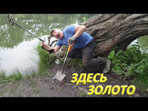 Видео: КРУГОМ ЗОЛОТО под корнями! Я БОЯЛСЯ говорить громко!!!