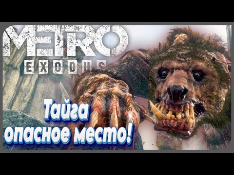 Видео: Тайга опасное место! Хардкор-прохождение "Metro: Exodus"! Серия 5!
