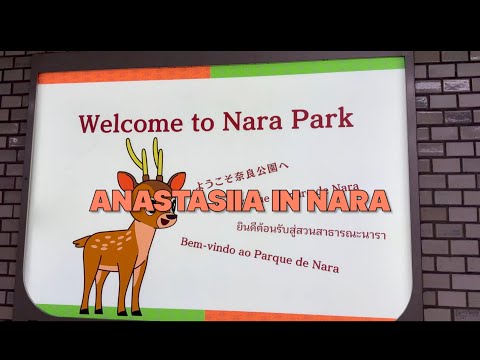 Видео: ♥Japan Vlog 🇯🇵♥ Disney tail in Nara: от ярко-рыжей милоты до активного выпрашивания и рогатых атак