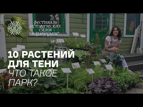 Видео: 10 растений для тени. Что такое парк?